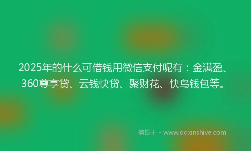 2025年的什么可借钱用微信支付呢有：金满盈、360尊享贷、云钱快贷、聚财花、快鸟钱包等。