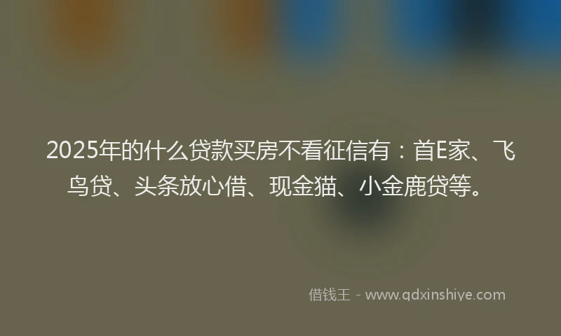 2025年的什么贷款买房不看征信有：首E家、飞鸟贷、头条放心借、现金猫、小金鹿贷等。
