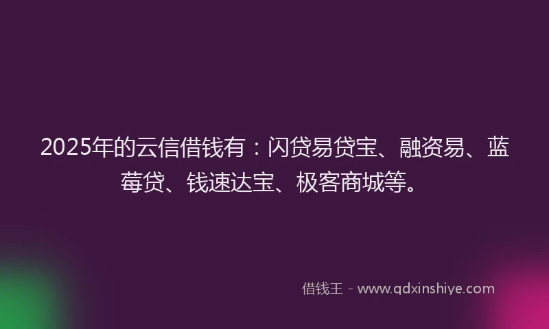 2025年的云信借钱有：闪贷易贷宝、融资易、蓝莓贷、钱速达宝、极客商城等。