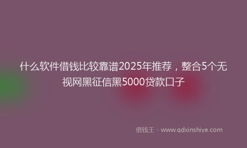 什么软件借钱比较靠谱2025年推荐，整合5个无视网黑征信黑5000贷款口子