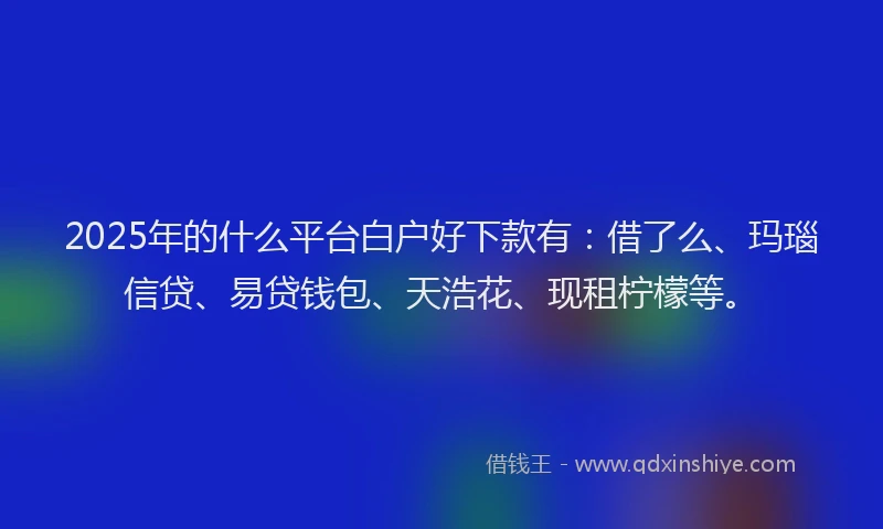 2025年的什么平台白户好下款有：借了么、玛瑙信贷、易贷钱包、天浩花、现租柠檬等。