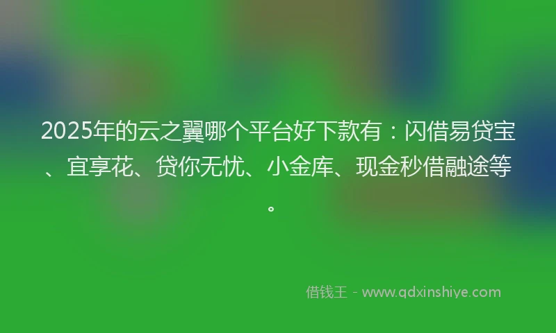 2025年的云之翼哪个平台好下款有：闪借易贷宝、宜享花、贷你无忧、小金库、现金秒借融途等。