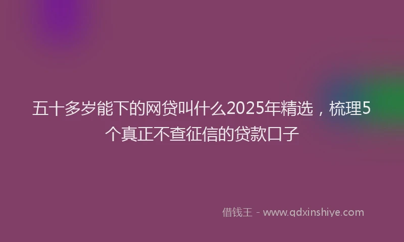 五十多岁能下的网贷叫什么2025年精选，梳理5个真正不查征信的贷款口子