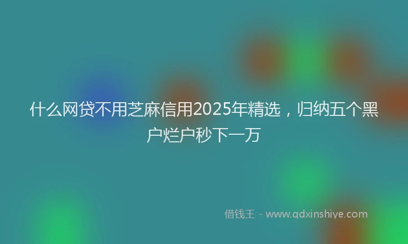 什么网贷不用芝麻信用2025年精选，归纳五个黑户烂户秒下一万