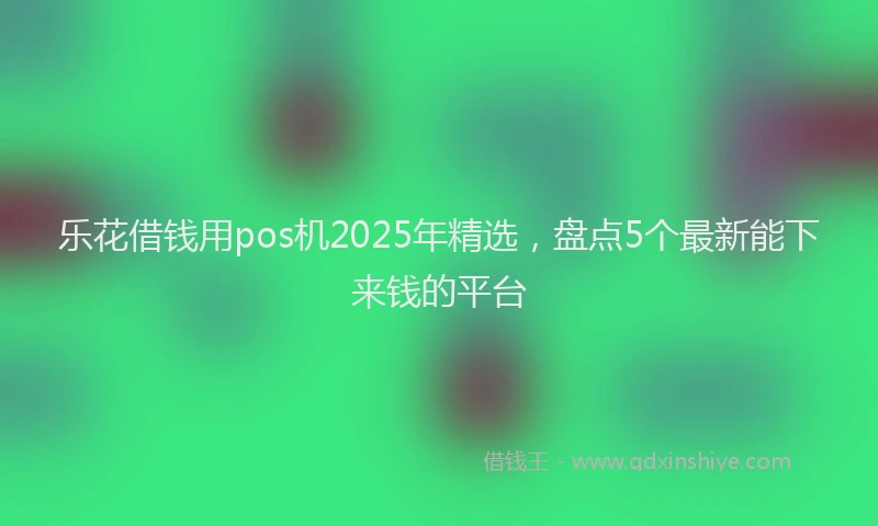 乐花借钱用pos机2025年精选，盘点5个最新能下来钱的平台