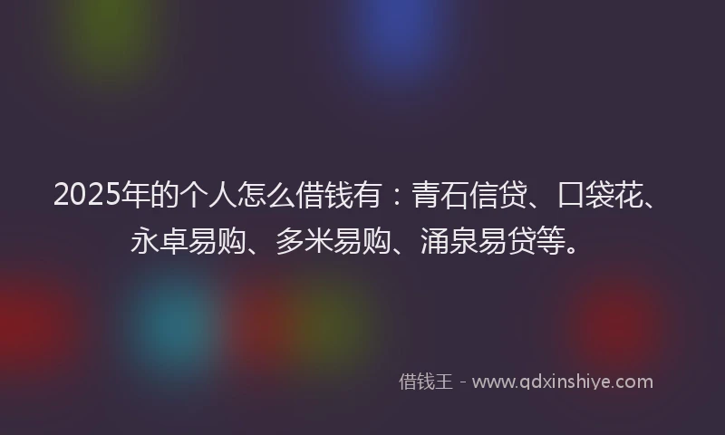 2025年的个人怎么借钱有：青石信贷、口袋花、永卓易购、多米易购、涌泉易贷等。