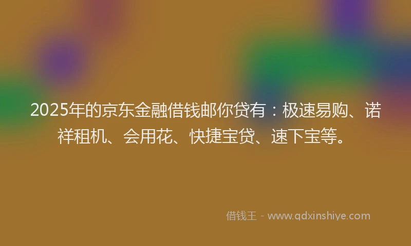 2025年的京东金融借钱邮你贷有：极速易购、诺祥租机、会用花、快捷宝贷、速下宝等。
