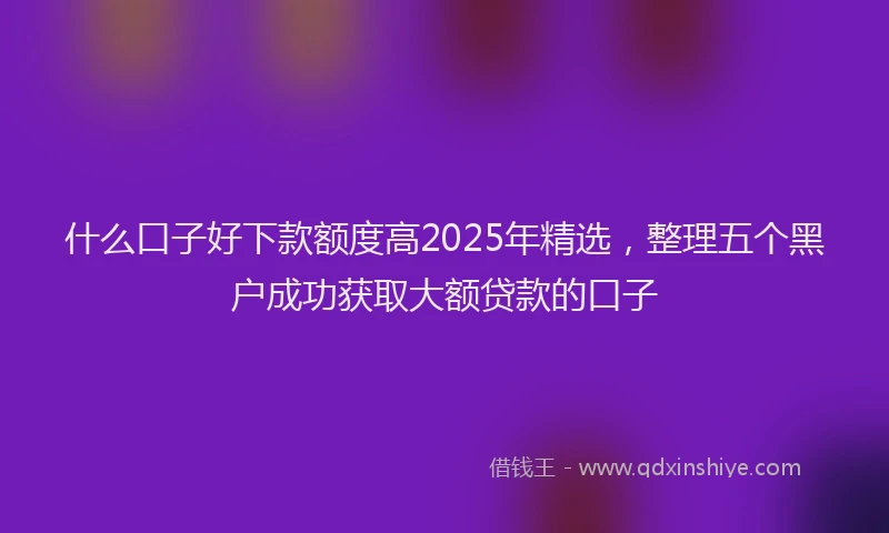 什么口子好下款额度高2025年精选，整理五个黑户成功获取大额贷款的口子
