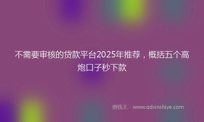 不需要审核的贷款平台2025年推荐，概括五个高炮口子秒下款