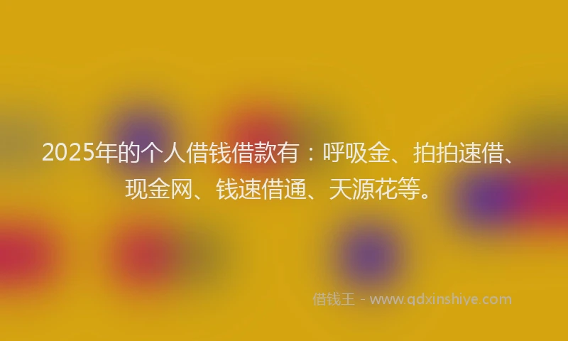 2025年的个人借钱借款有：呼吸金、拍拍速借、现金网、钱速借通、天源花等。
