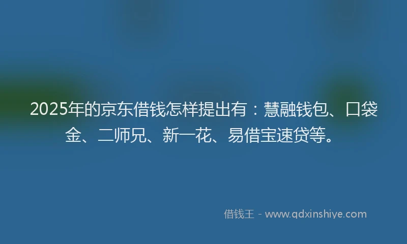 2025年的京东借钱怎样提出有：慧融钱包、口袋金、二师兄、新一花、易借宝速贷等。