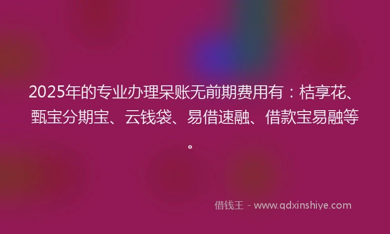 2025年的专业办理呆账无前期费用有：桔享花、甄宝分期宝、云钱袋、易借速融、借款宝易融等。