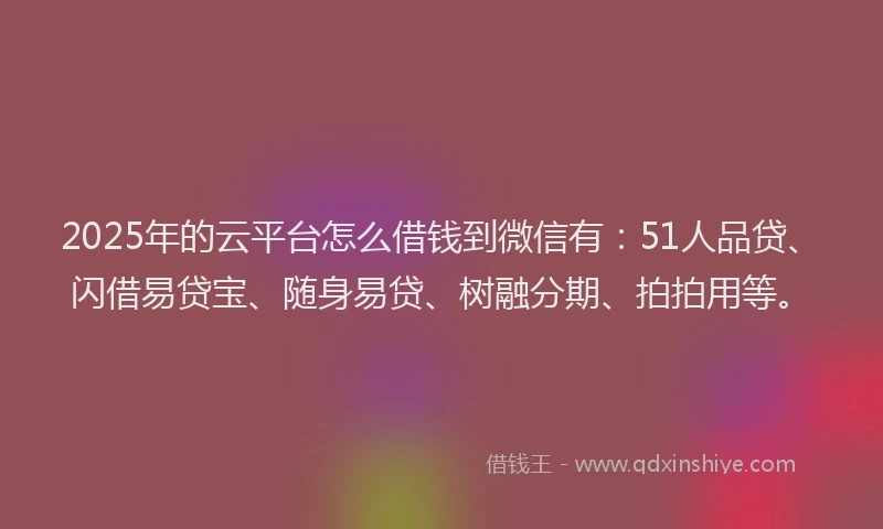 2025年的云平台怎么借钱到微信有：51人品贷、闪借易贷宝、随身易贷、树融分期、拍拍用等。