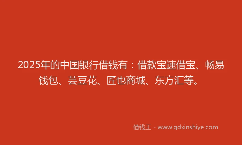 2025年的中国银行借钱有：借款宝速借宝、畅易钱包、芸豆花、匠也商城、东方汇等。
