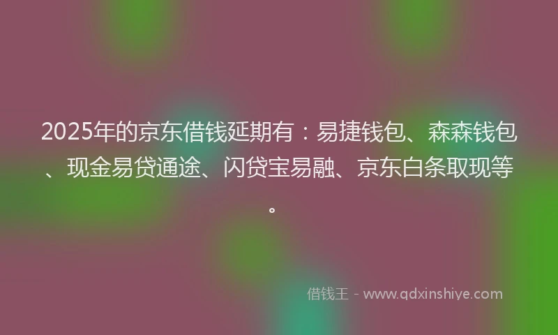 2025年的京东借钱延期有：易捷钱包、森森钱包、现金易贷通途、闪贷宝易融、京东白条取现等。