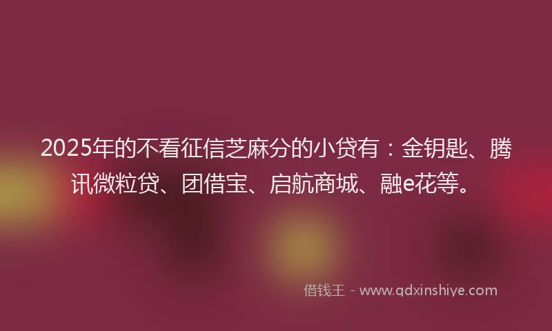 2025年的不看征信芝麻分的小贷有：金钥匙、腾讯微粒贷、团借宝、启航商城、融e花等。