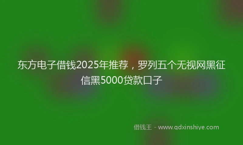东方电子借钱2025年推荐，罗列五个无视网黑征信黑5000贷款口子