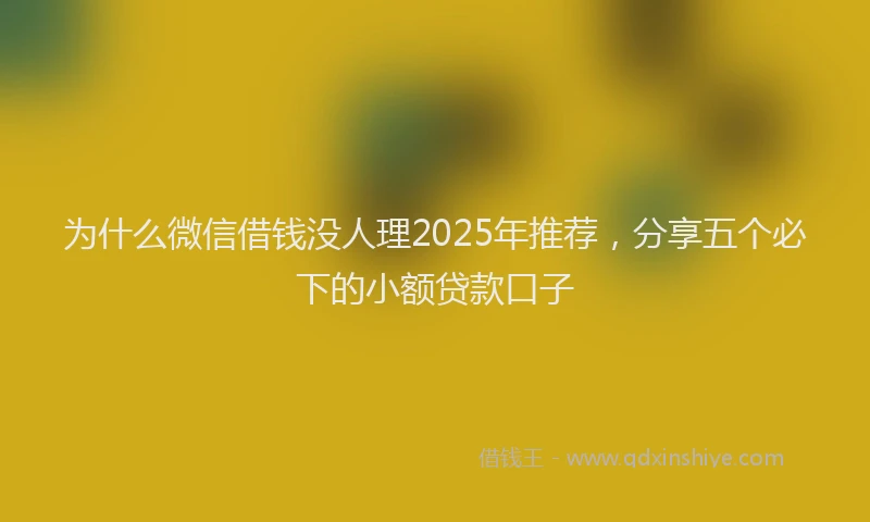 为什么微信借钱没人理2025年推荐，分享五个必下的小额贷款口子