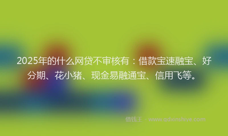 2025年的什么网贷不审核有：借款宝速融宝、好分期、花小猪、现金易融通宝、信用飞等。