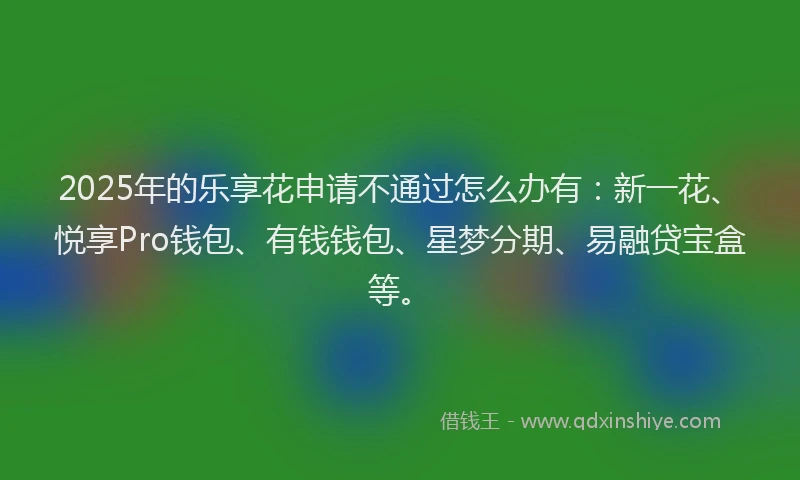 2025年的乐享花申请不通过怎么办有：新一花、悦享Pro钱包、有钱钱包、星梦分期、易融贷宝盒等。