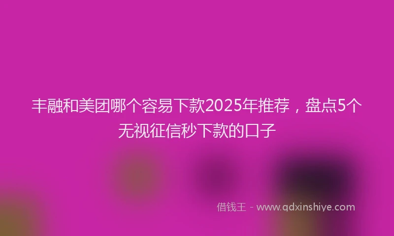 丰融和美团哪个容易下款2025年推荐，盘点5个无视征信秒下款的口子