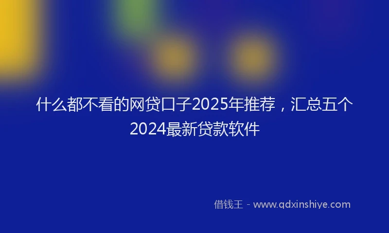 什么都不看的网贷口子2025年推荐，汇总五个2024最新贷款软件