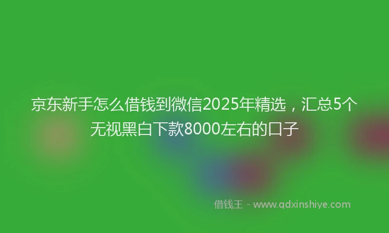 京东新手怎么借钱到微信2025年精选，汇总5个无视黑白下款8000左右的口子