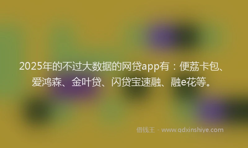 2025年的不过大数据的网贷app有：便荔卡包、爱鸿森、金叶贷、闪贷宝速融、融e花等。