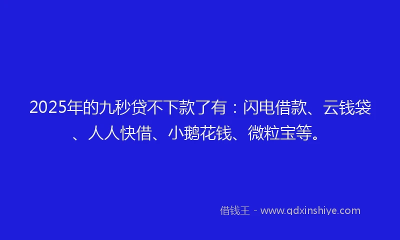 2025年的九秒贷不下款了有：闪电借款、云钱袋、人人快借、小鹅花钱、微粒宝等。
