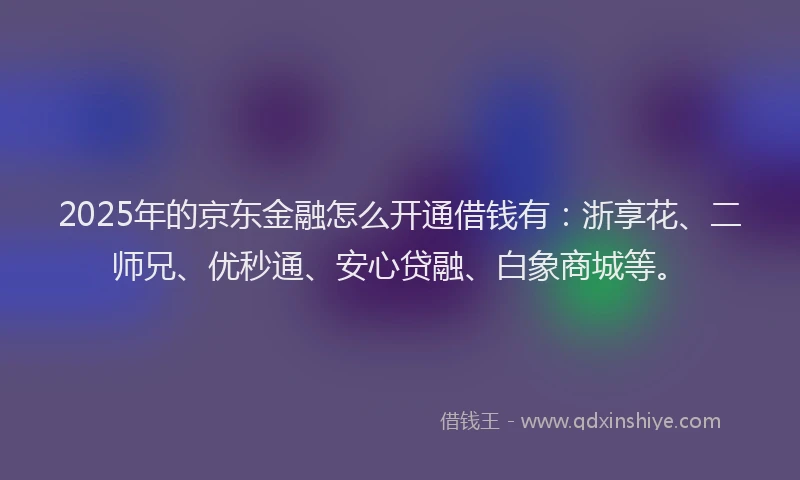 2025年的京东金融怎么开通借钱有：浙享花、二师兄、优秒通、安心贷融、白象商城等。
