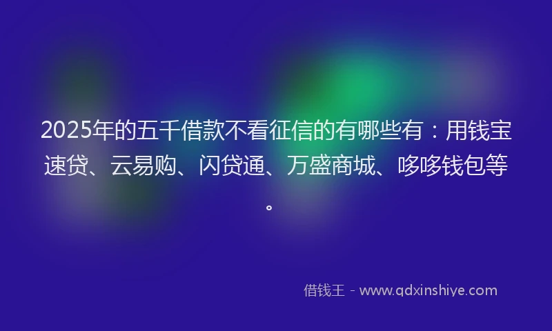 2025年的五千借款不看征信的有哪些有：用钱宝速贷、云易购、闪贷通、万盛商城、哆哆钱包等。