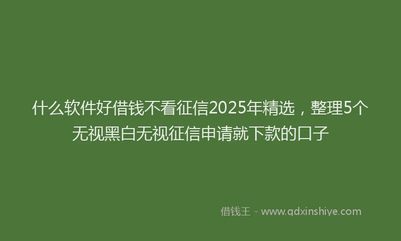 什么软件好借钱不看征信2025年精选，整理5个无视黑白无视征信申请就下款的口子