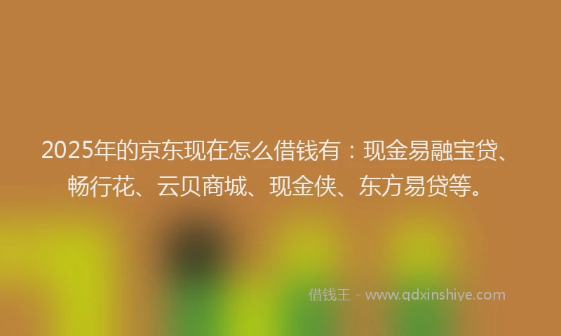 2025年的京东现在怎么借钱有：现金易融宝贷、畅行花、云贝商城、现金侠、东方易贷等。