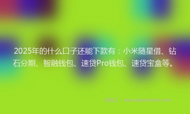 2025年的什么口子还能下款有：小米随星借、钻石分期、智融钱包、速贷Pro钱包、速贷宝盒等。