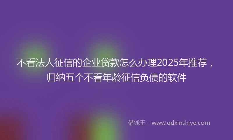 不看法人征信的企业贷款怎么办理2025年推荐，归纳五个不看年龄征信负债的软件