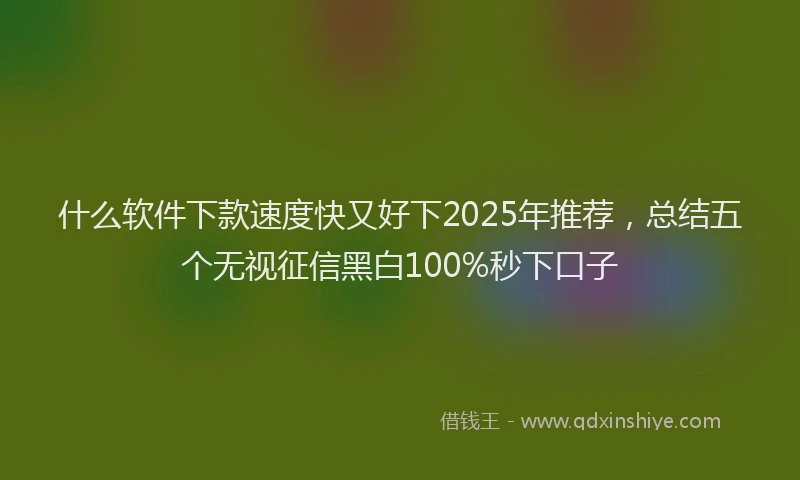什么软件下款速度快又好下2025年推荐，总结五个无视征信黑白100%秒下口子