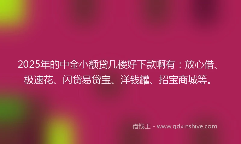 2025年的中金小额贷几楼好下款啊有：放心借、极速花、闪贷易贷宝、洋钱罐、招宝商城等。