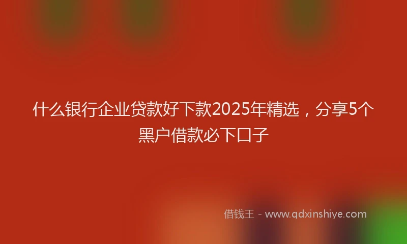 什么银行企业贷款好下款2025年精选，分享5个黑户借款必下口子
