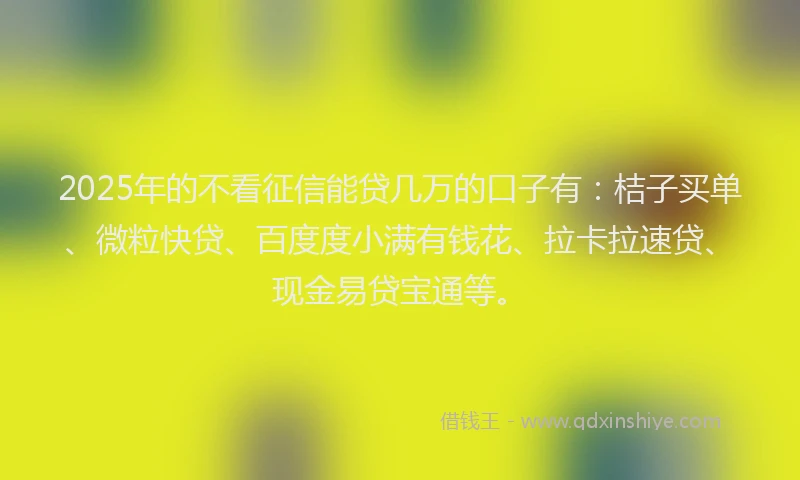 2025年的不看征信能贷几万的口子有：桔子买单、微粒快贷、百度度小满有钱花、拉卡拉速贷、现金易贷宝通等。