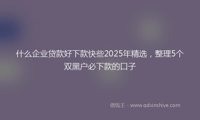 什么企业贷款好下款快些2025年精选，整理5个双黑户必下款的口子