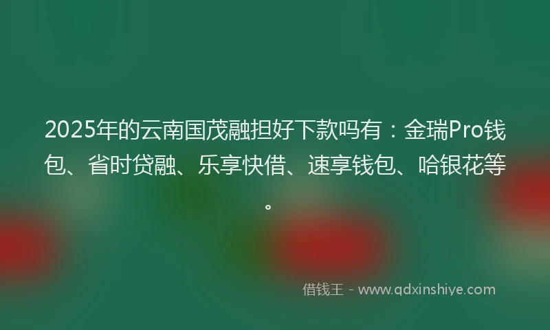 2025年的云南国茂融担好下款吗有：金瑞Pro钱包、省时贷融、乐享快借、速享钱包、哈银花等。