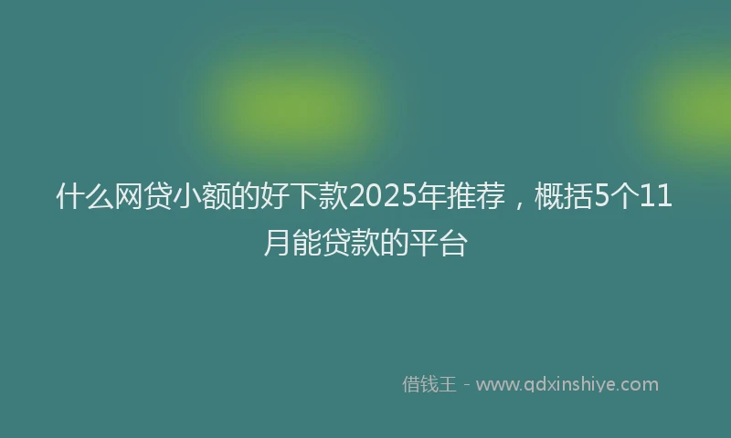 什么网贷小额的好下款2025年推荐，概括5个11月能贷款的平台