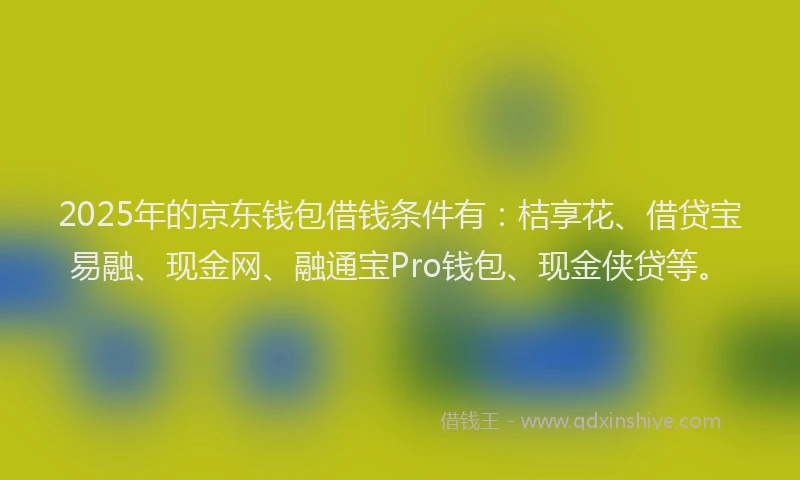 2025年的京东钱包借钱条件有：桔享花、借贷宝易融、现金网、融通宝Pro钱包、现金侠贷等。