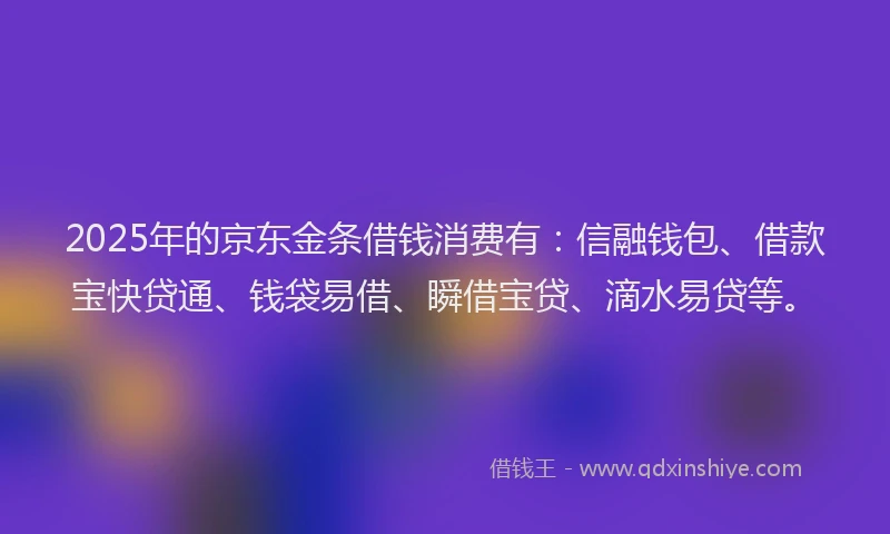 2025年的京东金条借钱消费有：信融钱包、借款宝快贷通、钱袋易借、瞬借宝贷、滴水易贷等。
