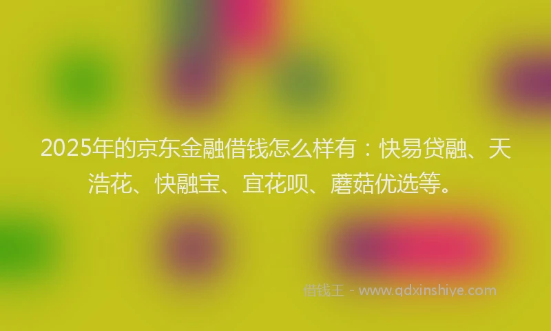 2025年的京东金融借钱怎么样有：快易贷融、天浩花、快融宝、宜花呗、蘑菇优选等。
