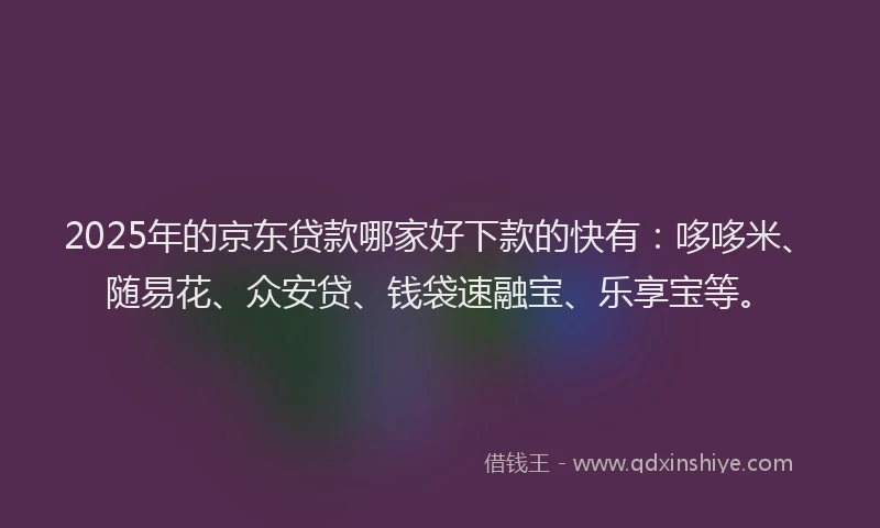 2025年的京东贷款哪家好下款的快有：哆哆米、随易花、众安贷、钱袋速融宝、乐享宝等。