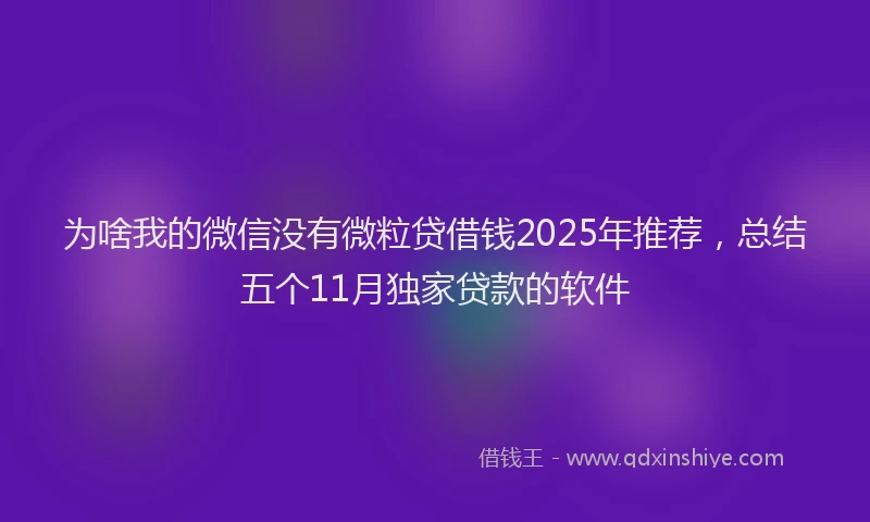 为啥我的微信没有微粒贷借钱2025年推荐，总结五个11月独家贷款的软件