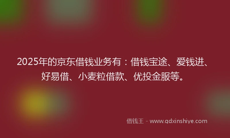 2025年的京东借钱业务有：借钱宝途、爱钱进、好易借、小麦粒借款、优投金服等。