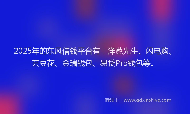 2025年的东风借钱平台有：洋葱先生、闪电购、芸豆花、金瑞钱包、易贷Pro钱包等。