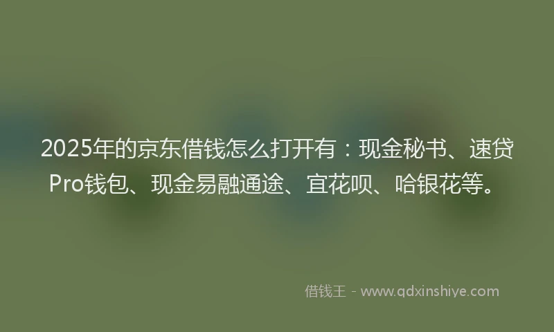 2025年的京东借钱怎么打开有：现金秘书、速贷Pro钱包、现金易融通途、宜花呗、哈银花等。